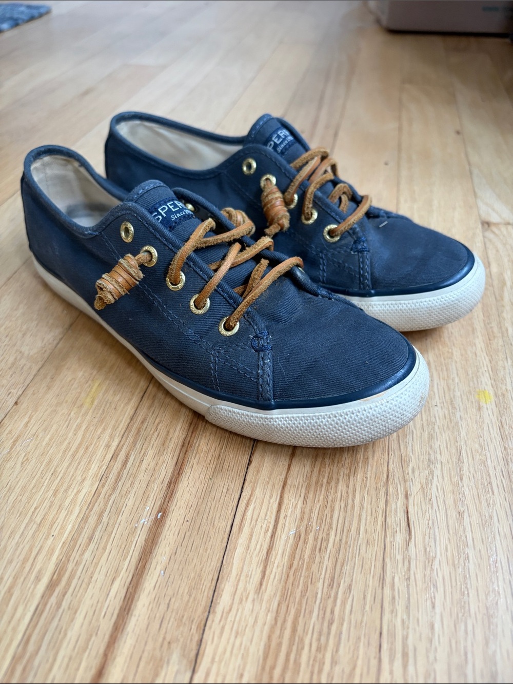 Sperry Navy Canvas Sneakers